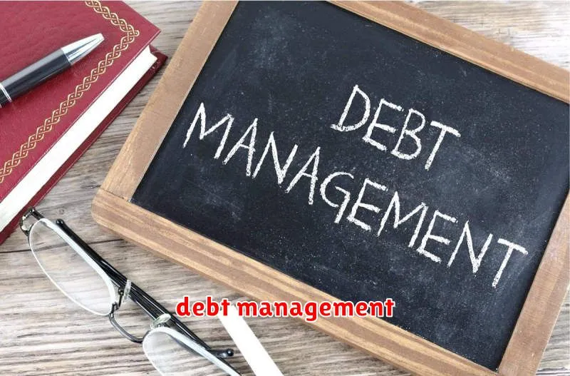 debt management
